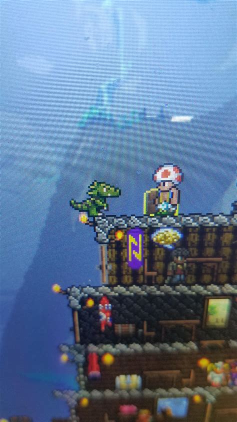 amber terraria|terraria amber mosquito.